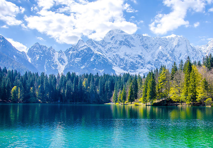 Scenic lake surrounded but tall evergreens and snow-capped mountains in the background